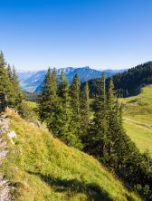 Grüne Wiesen in den Allgäuer Alpen