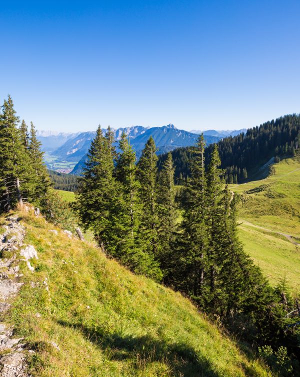 Familiewandeling tijdens een zomervakantie in de Allgäuer Alpen. Er zijn prachtige wandelpaden te ontdekken in Nesselwang en omgeving.