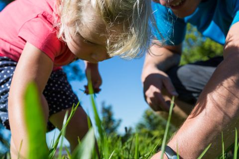Little explorers exploring the Allgäu countryside. There's plenty for young travelers to experience on a family vacation in Bavaria. You can stay at the Explorer Hotel in Nesselwang, featuring designer rooms, breakfast, a sports spa with sauna, and a bike washing area.