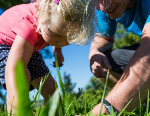 Na objevitelské cestě v přírodě Allgäu Malí objevitelé objevují krajinu Allgäu. Malí cestovatelé si na rodinné dovolené v Bavorsku najdou spoustu možností, co zažít. Ubytovat se můžete v hotelu Explorer v Nesselwangu, který nabízí designové pokoje, snídani, sportovní lázně se saunou a mycí zónu na kola.