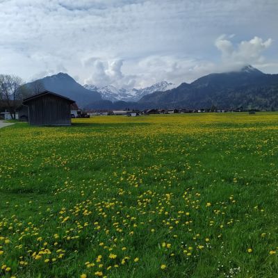Heute morgen.