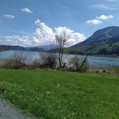 Auf dem Fahrrad auf dem Weg zum Bodensee.
