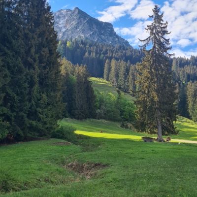Gaisalpe