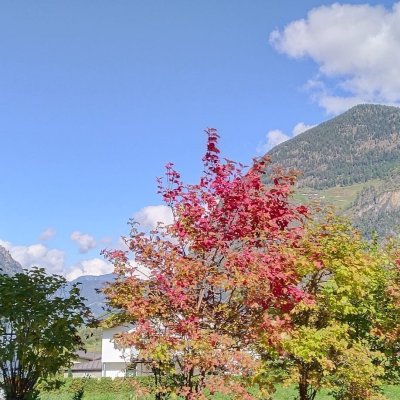 Herbst
