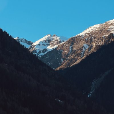 Happy new year 🎆✨