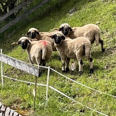 Voll neugierig
