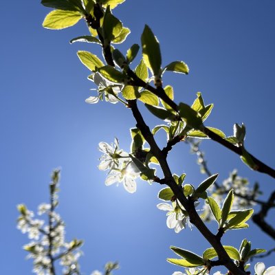 Frühling