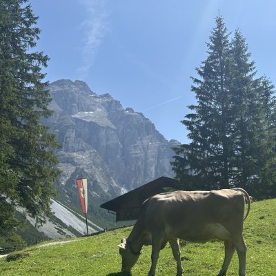 Issenangeralm 🐄☀️🍻