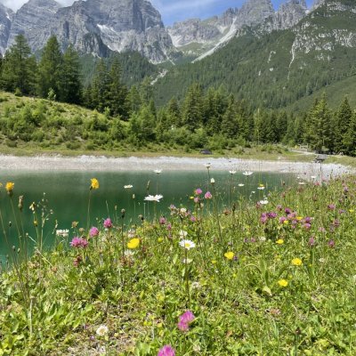 Panoramasee - Schlick 2000