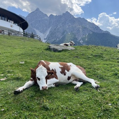 Einfach mal chillen