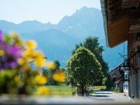 Eine Landschaft mit Blumen im Vordergrund. Im Hintergrund sieht man Berge und Gebäude. Es ist ein klarer Tag.