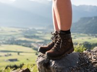 Eine Person steht auf einem Felsen und genießt die Aussicht auf das grüne Tal und die Berge in den Alpen während des Tages.