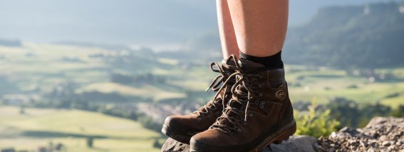 Eine Person steht auf einem Felsen und genießt die Aussicht auf das grüne Tal und die Berge in den Alpen während des Tages.