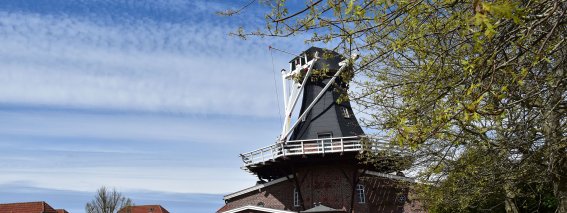 Windmühle 03