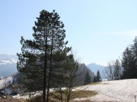 Aussicht vom Balkon