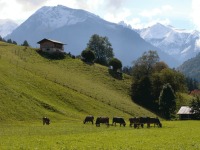 Frühlingsidylle