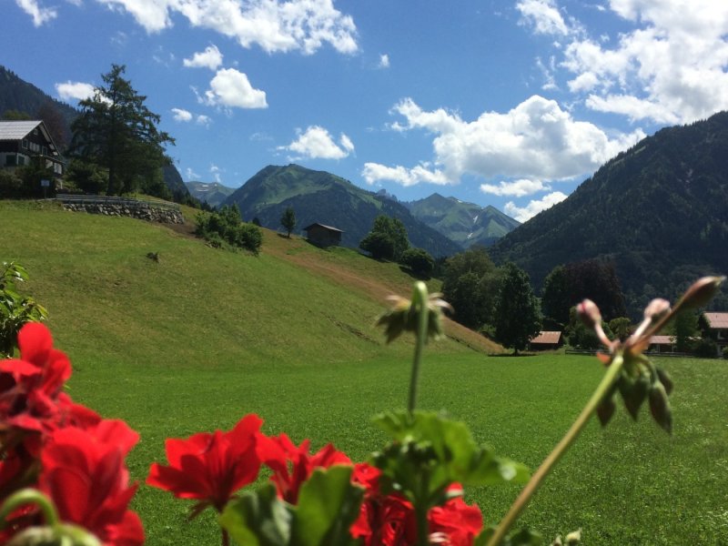 Blick vom Balkon
