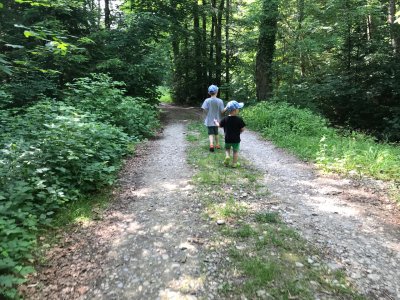 Mit vielen Abenteuern am Wegesrand, macht es auch den Kleinsten Spaß, durch den Wald zu wandern.
