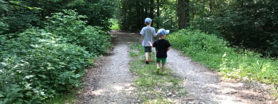 Mit vielen Abenteuern am Wegesrand, macht es auch den Kleinsten Spaß, durch den Wald zu wandern.