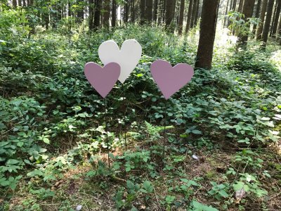 Im Rahmen einer Wald-Rundwanderung gibt es auf dem Herzlesweg in Beuren einiges zu erleben.