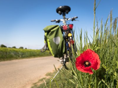 In Oberschwaben gibt es zahlreiche Radtouren für Genießer.