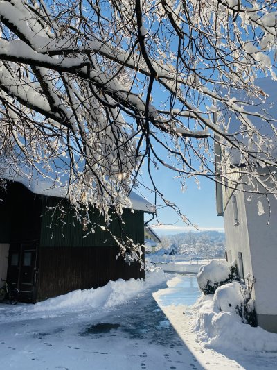 Im Winter ist der Hof besonders romantisch.