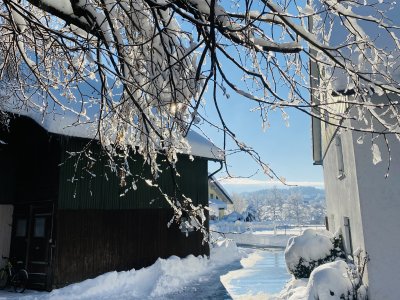 Im Winter ist der Hof besonders romantisch.