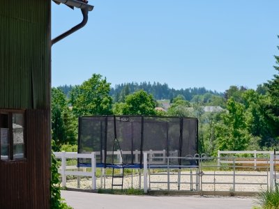 Der ehemalige Reitplatz bietet viel Platz für Sport und Sandspiel. Das riesige Trampolin ist eines der Highlights.