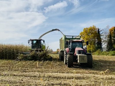 Der Mais-Häcksler und der Häckselwagen arbeiten bei der Maisernte Ende Oktober im Gleichklang.