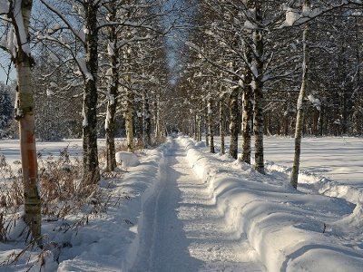 Im Winter führt ein idyllischer Weg durch das Naturschutzgebiet in die Altstadt von Isny.