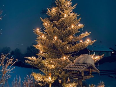 In der Adventszeit verwandelt sich das Hofgut in ein romantisches Weihnachtsmärchen