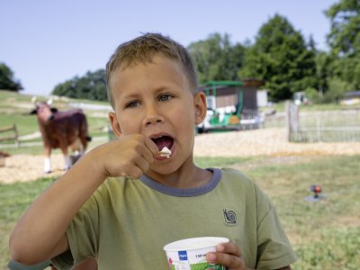Eis in der Max Wild ARENA