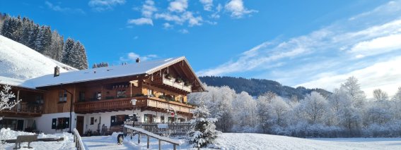 Eine Almhütte steht im Schnee, umgeben von Bäumen und Bergen unter einem blauen Himmel an einem sonnigen Wintertag.