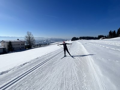 IMG 0091