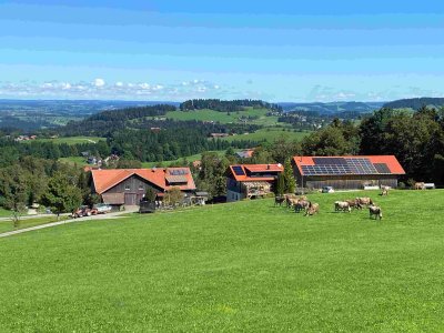 Gesamtansicht