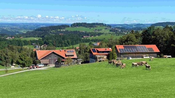 Gesamtansicht