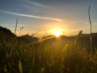 Sonnenaufgang am Sonderdorfer Kreuz 2