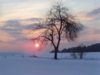 Winterstimmung