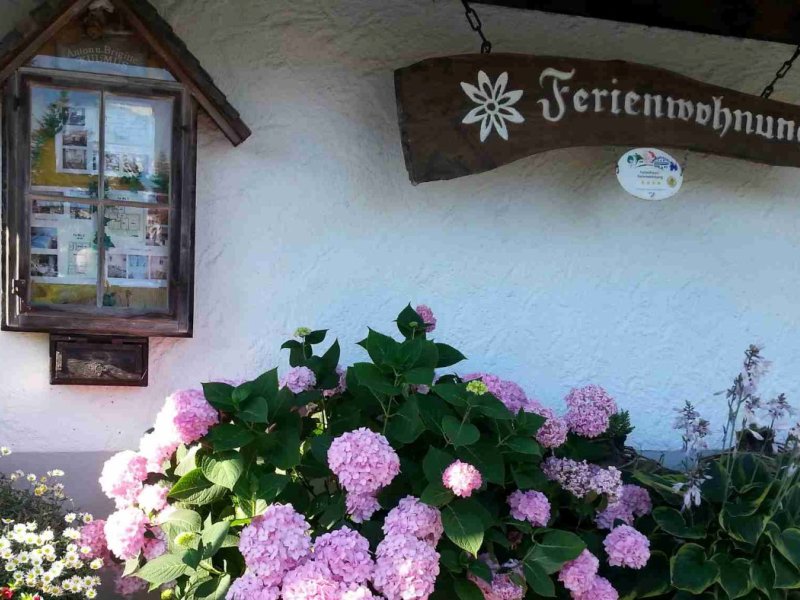 Hausansicht vorne