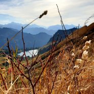 Buind Herbst