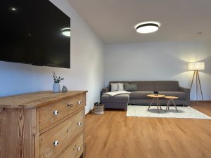 Der Raum zeigt ein Sofa, einen Tisch und einen Fernseher. Tageslicht fällt durch die Fenster.