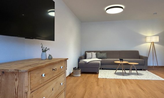 Der Raum zeigt ein Sofa, einen Tisch und einen Fernseher. Tageslicht fällt durch die Fenster.