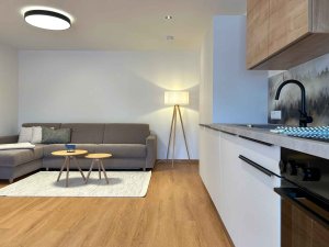 In einem Raum gibt es ein Sofa, einen Tisch und eine Küchenzeile. Das Licht ist an und der Boden ist aus Holz.