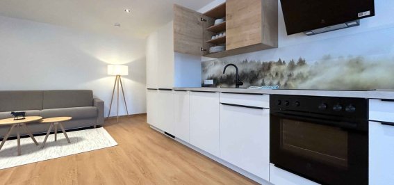 Moderne Küche in einem Wohnzimmer In der Wohnung befinden sich eine Küche und ein Wohnzimmer mit Sofa und Tisch. Es sieht modern und aufgeräumt aus.