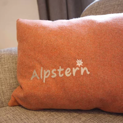 Alpstern - Kissen