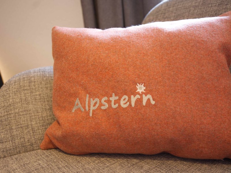 Alpstern - Kissen