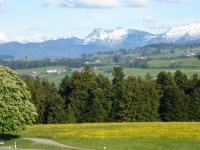 Frühling