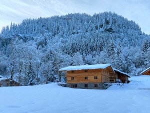 Hirschsprung Ferienwohnung HausimWinter