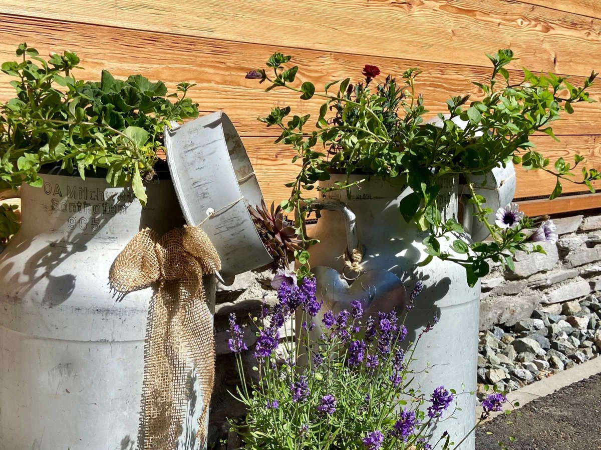 Hirschsprung Sommeransichten Bluemle