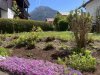 Blick in unseren Garten mit Schattenberg